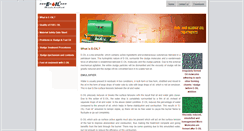 Desktop Screenshot of e-oil.com